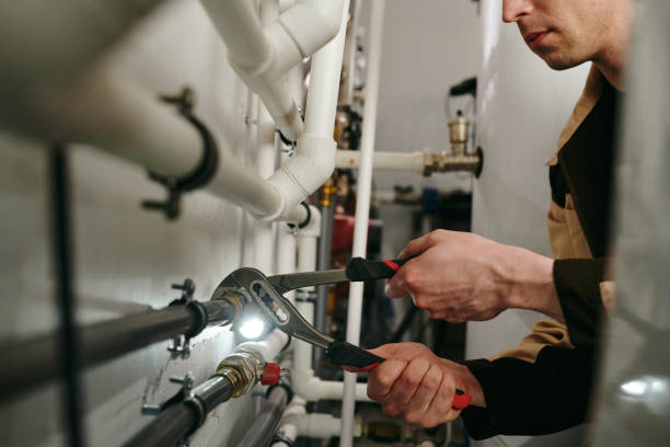 Best Water Heater Repair  in Roseland, FL