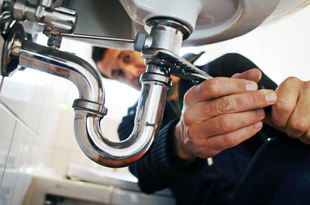 Best Plumbing Services Near Me  in Roseland, FL