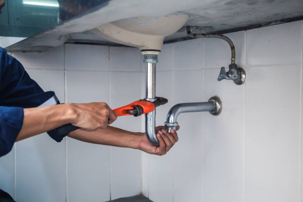 Best Local Plumber Services  in Roseland, FL