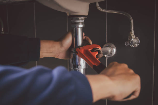 Best Commercial Plumbing Services  in Roseland, FL